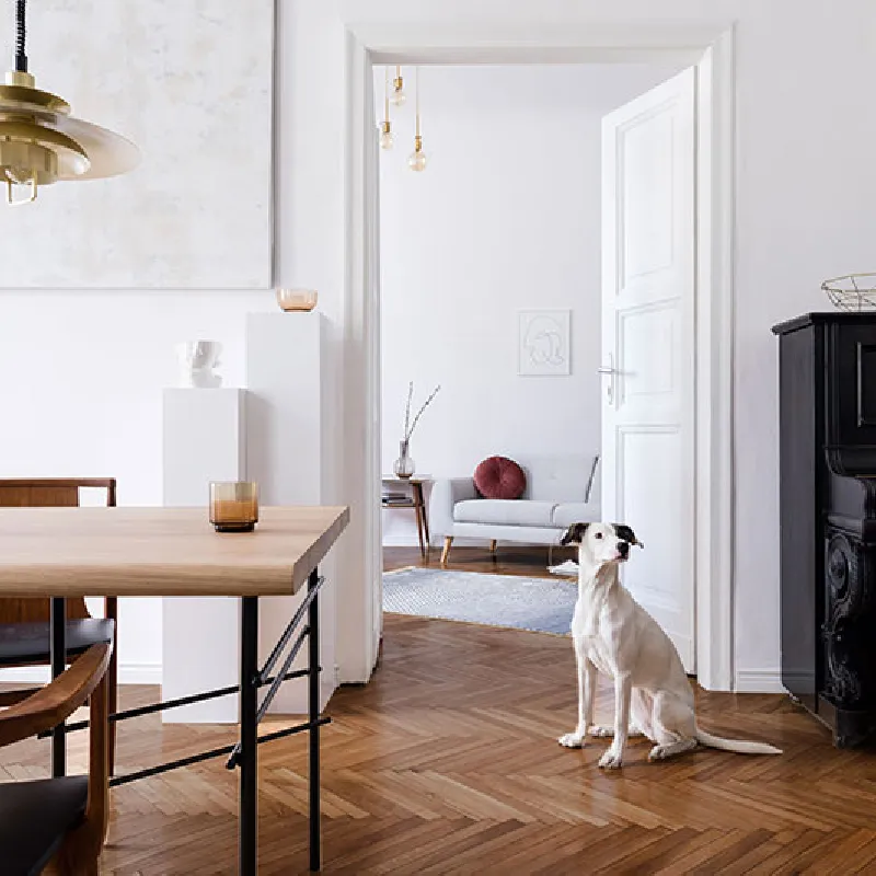 Bâton Rompu Chêne Massif Verni Nut - 600mm - Accueil - Over Parquet