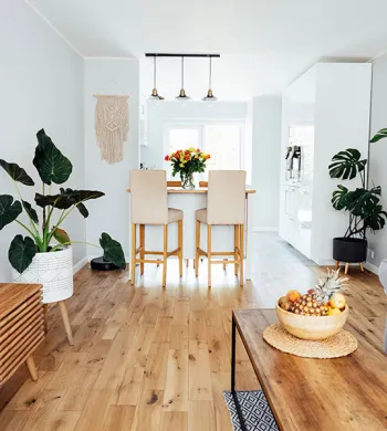 Accueil - Over Parquet