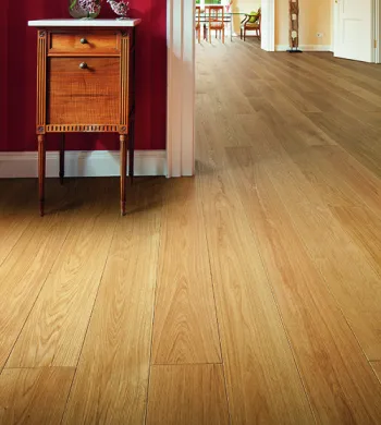 Parquet Massif - Over Parquet