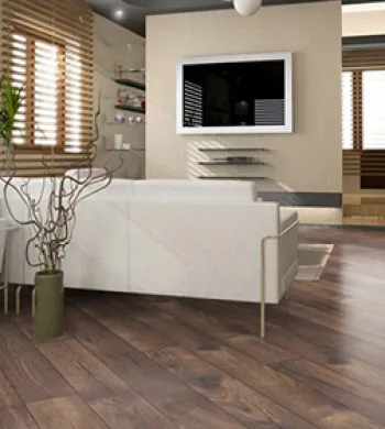 Collection Monaco - Over Parquet