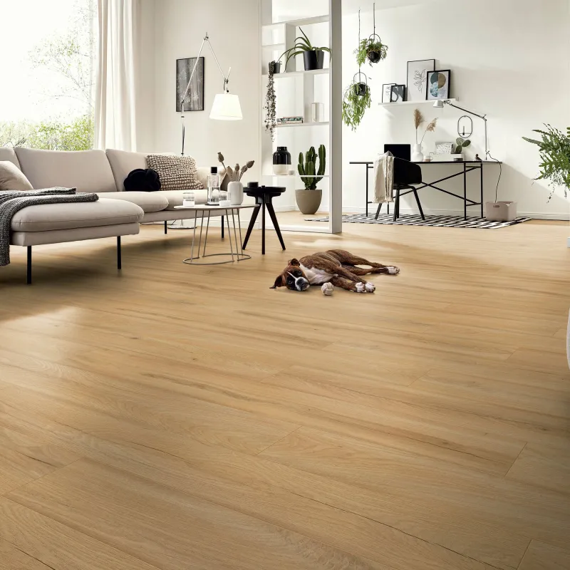 Sol Stratifié Chêne de Ferme Beige - Collection Milan - Over Parquet Sol Stratifié Chêne de Ferme Beige - Collection Milan - Over Parquet