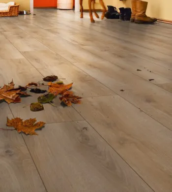 Collection Alexandrie - Over Parquet