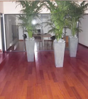Parquet Massif Exotique Verni - Over Parquet