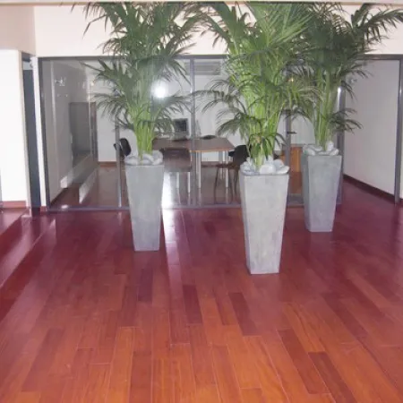Massaranduba Massif Verni - Accueil - Over Parquet
