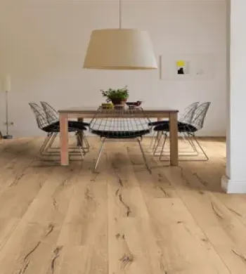 Collection Tritty - Over Parquet