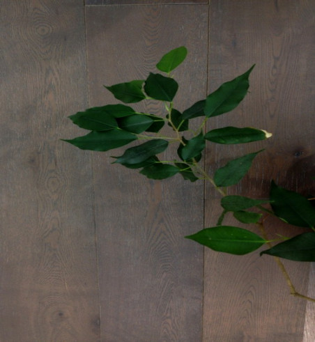 chêne massif choco glace verni brossé 180x20mm - pour le lot de 77.22m² - Accueil - Over Parquet