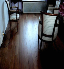 Racine - Over Parquet