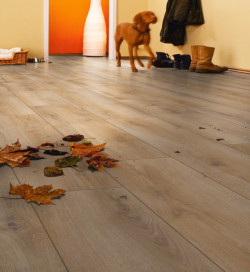 Parquet - Over Parquet