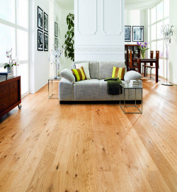 Racine - Over Parquet