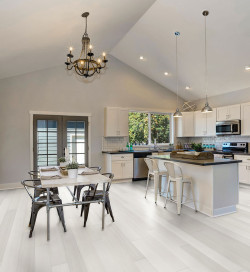 Racine - Over Parquet