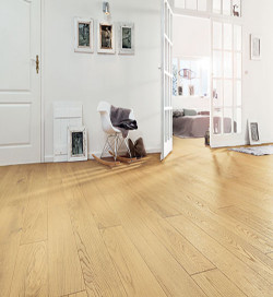 Racine - Over Parquet