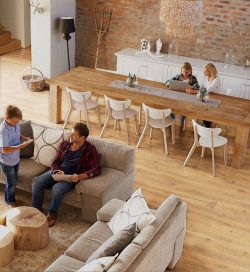 Racine - Over Parquet