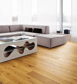 Accueil - Over Parquet