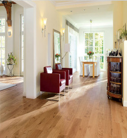 Racine - Over Parquet