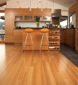 Bambou Massif Verni Vertical Caramel 96x15x960mm - Accueil - Over Parquet