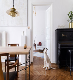 Parquet Massif - Over Parquet