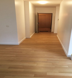 Racine - Over Parquet