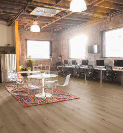 Racine - Over Parquet