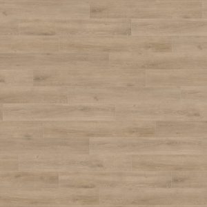 HARO Sol Stratifié TRITTY 100 Planche large à l'ancienne 4V Chêne Veneto crema* authentic mat Top Connect